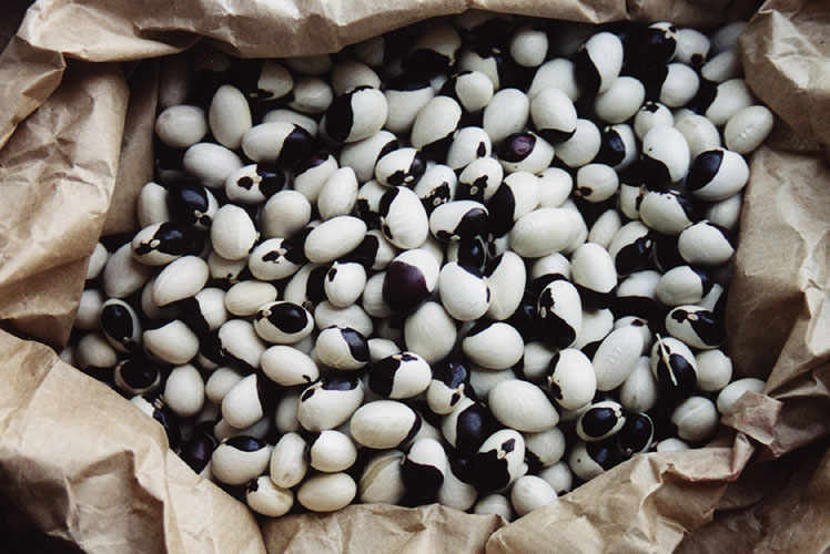 “Monachelle” beans.